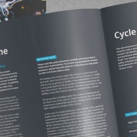 Assetsure