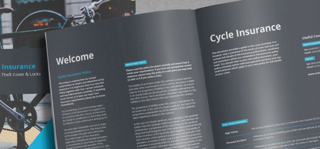 About us Assetsure
